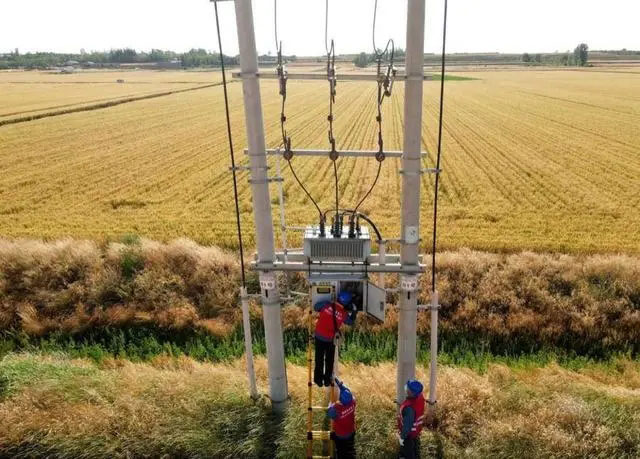 配電箱助力“電力?！报D農(nóng)民有了“電力?！碑a(chǎn)業(yè)發(fā)展質(zhì)效