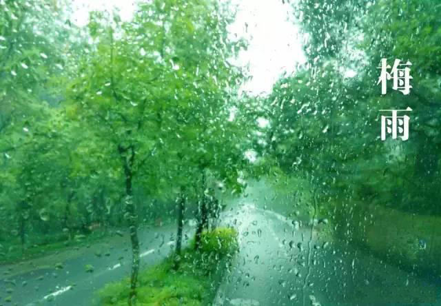 梅雨季節(jié)，如何解決配電箱回潮？給你支招